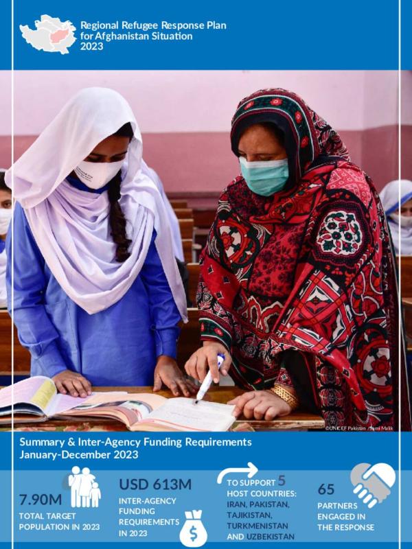 SSAR Support Platform | Solutions Strategy For Afghan Refugees